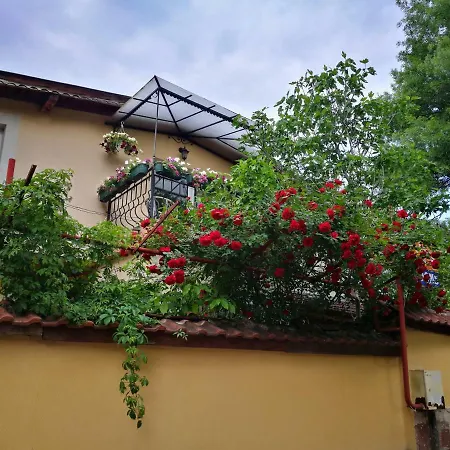 Paradise Ξενοδοχείο *