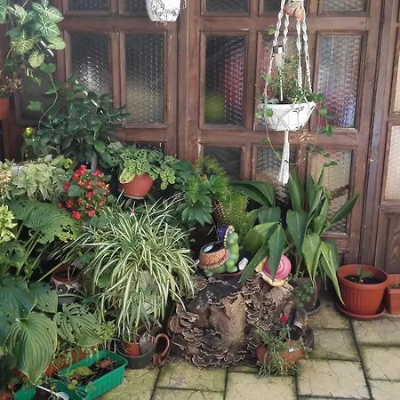 Paradise Hotel Sofia