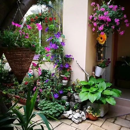 Paradise * Sofia