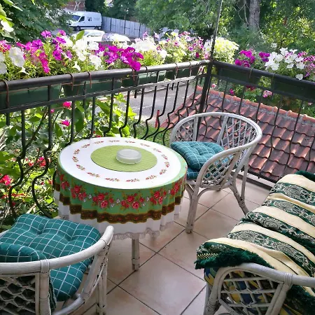 Paradise * Sofia