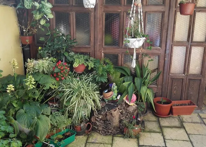 Paradise Хотел София